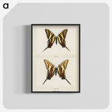 1-22_Moths-and-Butterflies-of-the-United-States_blk-crop
