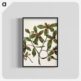 1-22_Native-Flowering-Plants-of-New-Zealand_blk-crop