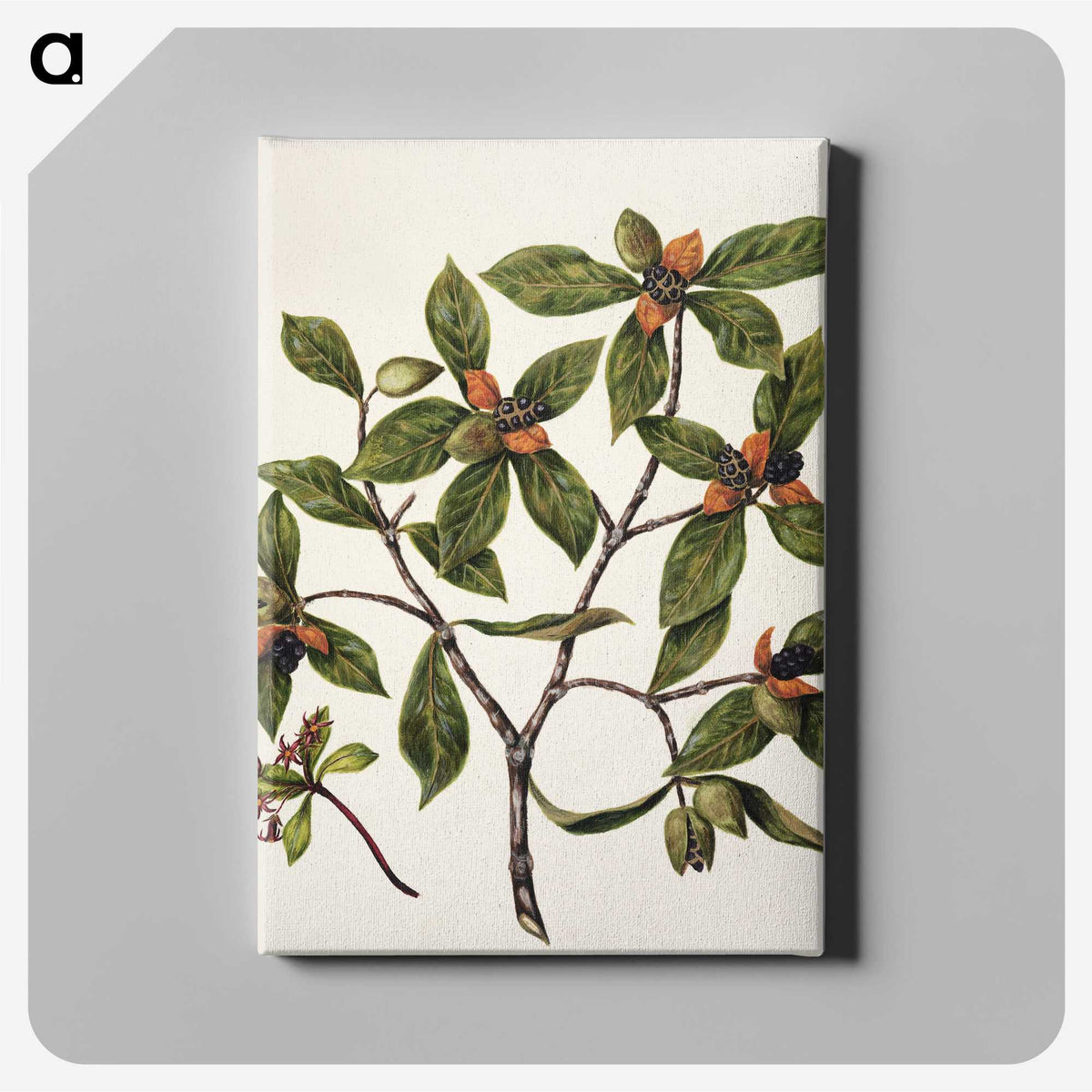 1-22_Native-Flowering-Plants-of-New-Zealand_canvas