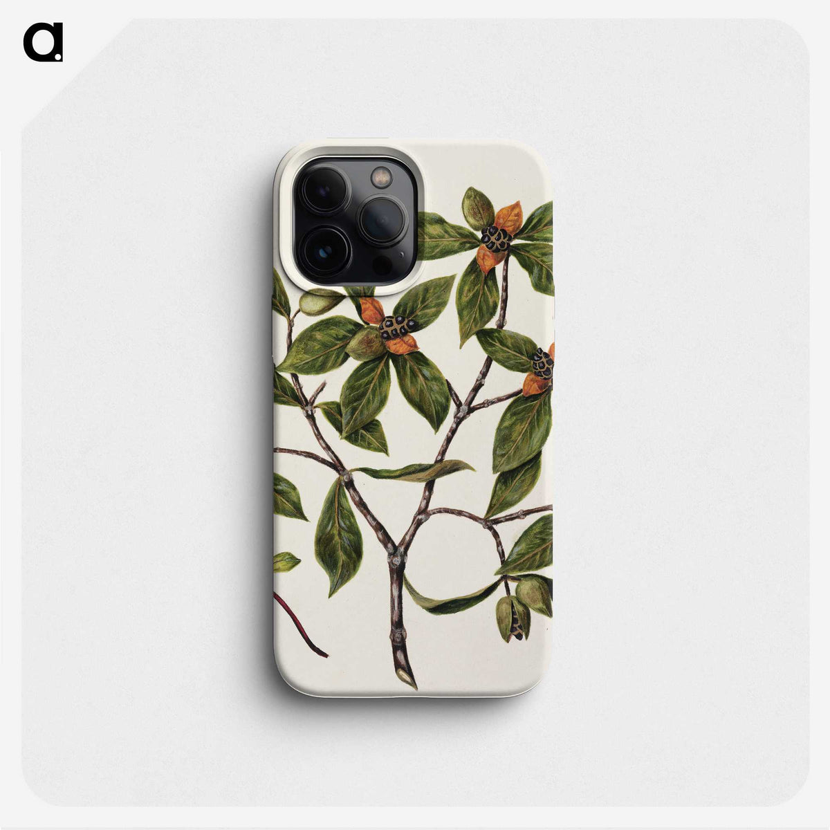 1-22_Native-Flowering-Plants-of-New-Zealand_phone