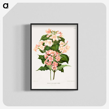 1-22_Nederlandsche-Flora-en-Pomona_blk-crop