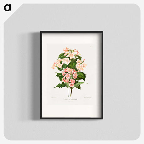 1-22_Nederlandsche-Flora-en-Pomona_blk