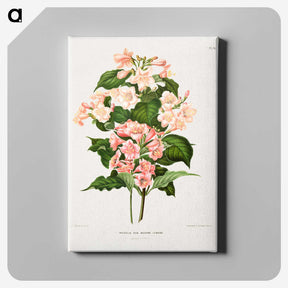 1-22_Nederlandsche-Flora-en-Pomona_canvas