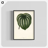 1-22_New-and-Rare-Beautiful-Leaved-Plants_blk-crop