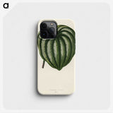 1-22_New-and-Rare-Beautiful-Leaved-Plants_phone