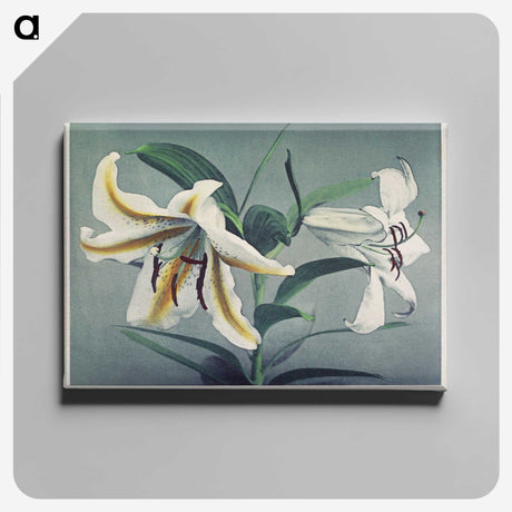1-22_Ogawa-Kazumasa_canvas