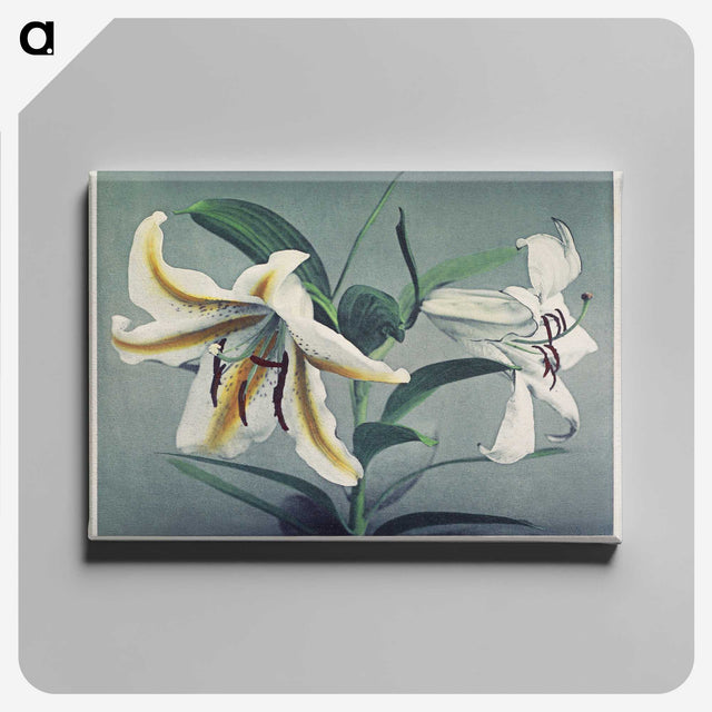 1-22_Ogawa-Kazumasa_canvas