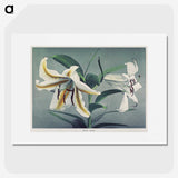 1-22_Ogawa-Kazumasa_picture