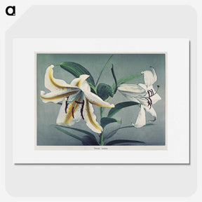 1-22_Ogawa-Kazumasa_picture
