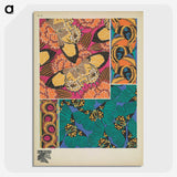 1-22_Papillons_picture-crop