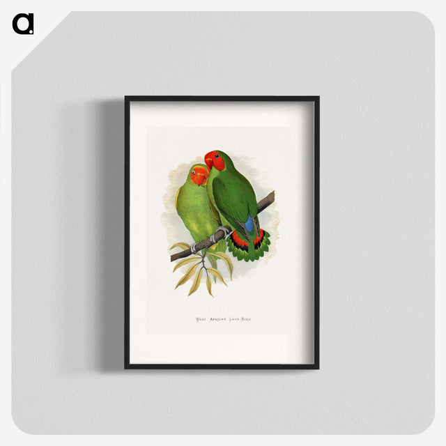 1-22_Parrots-in-Captivity_blk