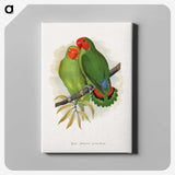 1-22_Parrots-in-Captivity_canvas