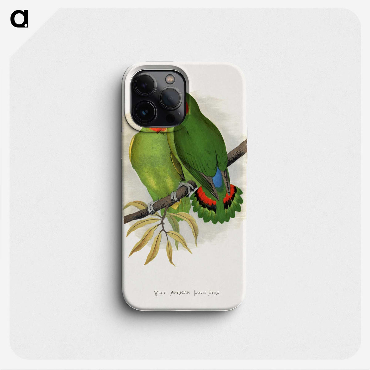1-22_Parrots-in-Captivity_phone