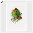 1-22_Parrots-in-Captivity_picture