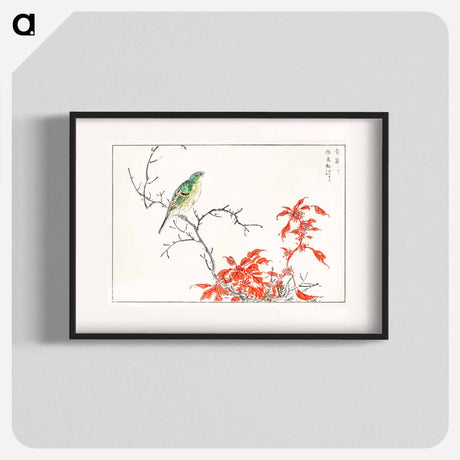 アートポスター-Japanese Yellow Bunting and Chinese Amaranth
 - 鳥類図鑑 Poster.