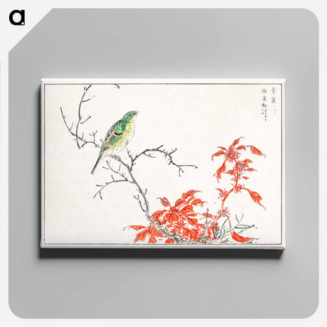 アートパネル-Japanese Yellow Bunting and Chinese Amaranth
 - 鳥類図鑑 Canvas.