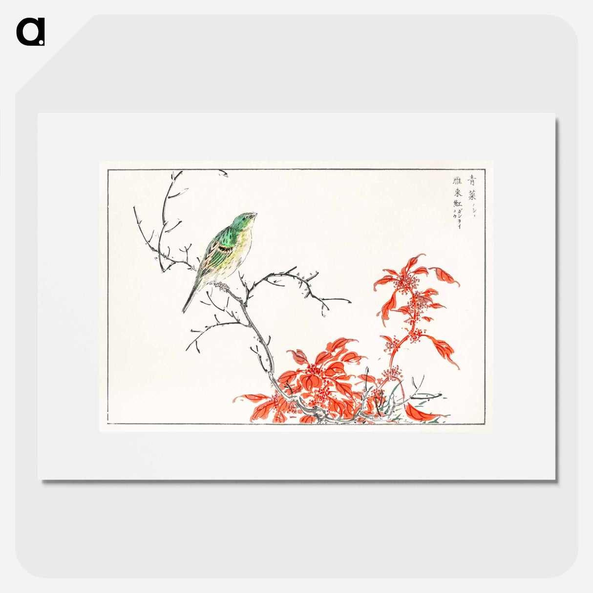 アートポスター-Japanese Yellow Bunting and Chinese Amaranth
 - 鳥類図鑑 Poster.