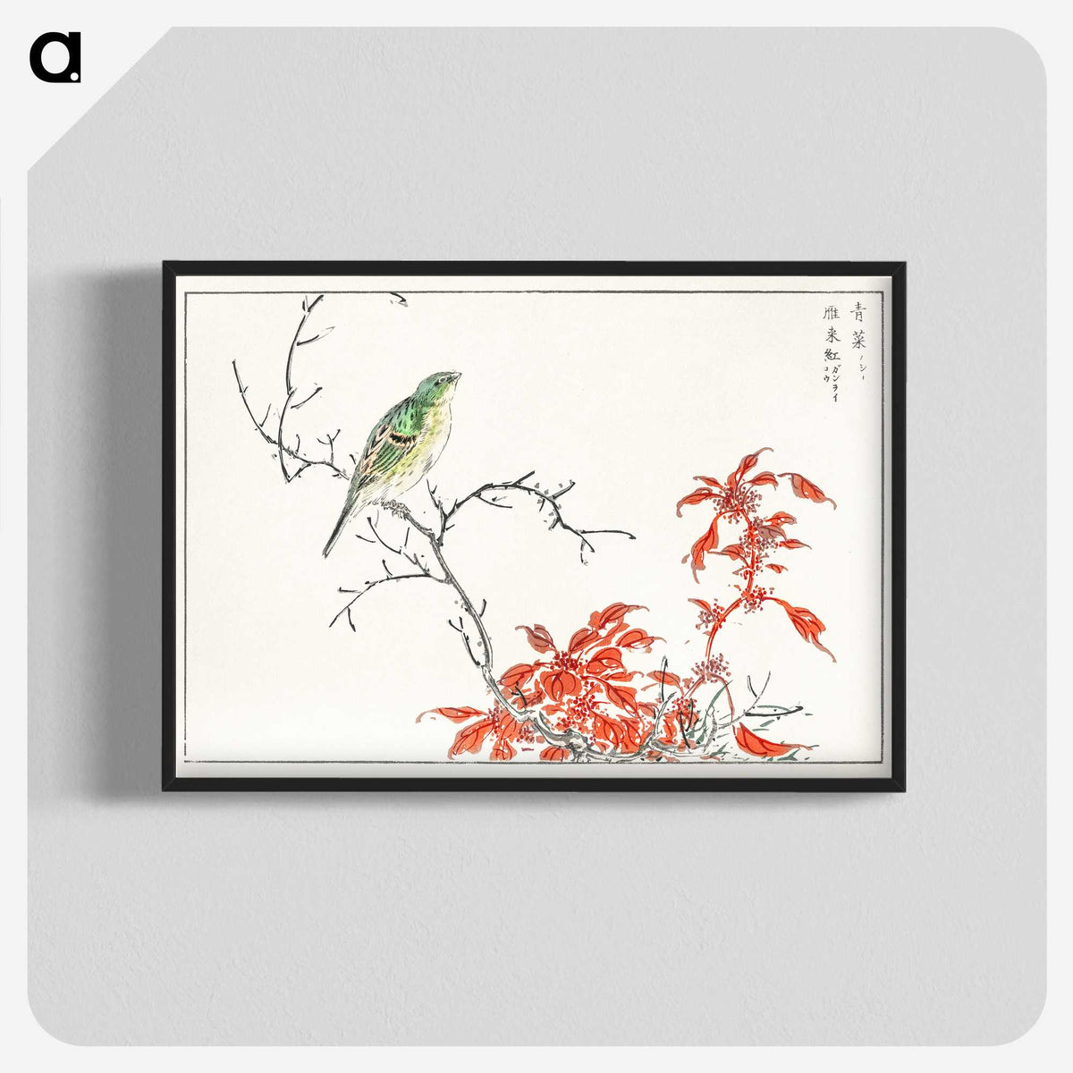 1-22_Pictorial-Monograph-of-Birds_blk-crop