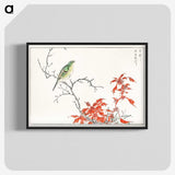 1-22_Pictorial-Monograph-of-Birds_blk-crop