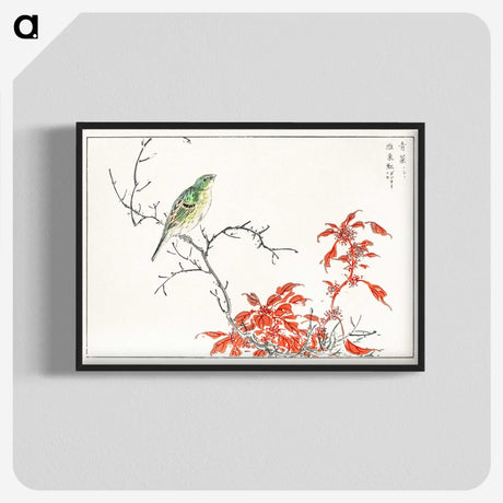 1-22_Pictorial-Monograph-of-Birds_blk-crop