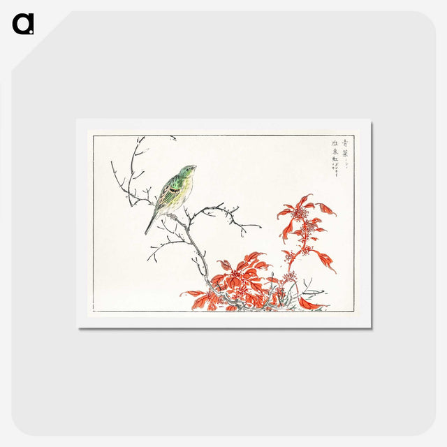 1-22_Pictorial-Monograph-of-Birds_hagaki