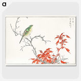 1-22_Pictorial-Monograph-of-Birds_picture-crop