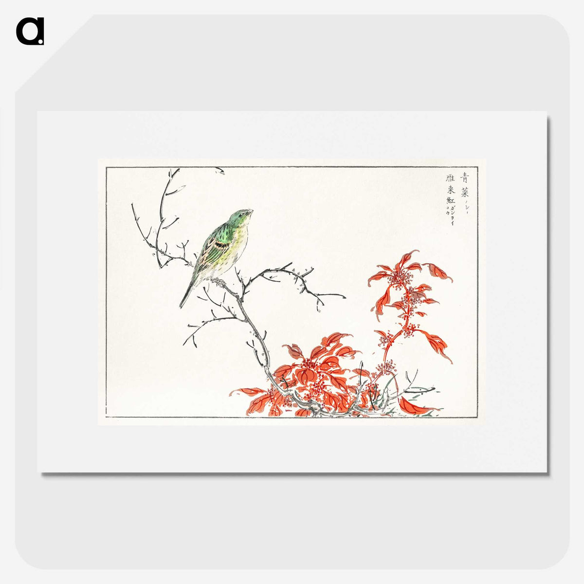 1-22_Pictorial-Monograph-of-Birds_picture