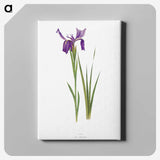 1-22_Picturesque-Representations-of-the-Dress-and-Manners-of-the-English_canvas