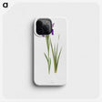 1-22_Picturesque-Representations-of-the-Dress-and-Manners-of-the-English_phone