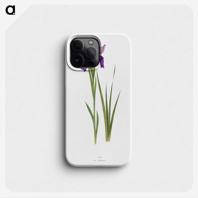 1-22_Picturesque-Representations-of-the-Dress-and-Manners-of-the-English_phone