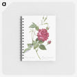 1-22_Pierre-Joseph-Redoute_memo