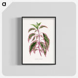 1-22_Plants-with-Colored-Foliage_blk-crop