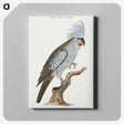 1-22_Robert-Jacob-Gordon_canvas