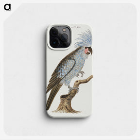 1-22_Robert-Jacob-Gordon_phone