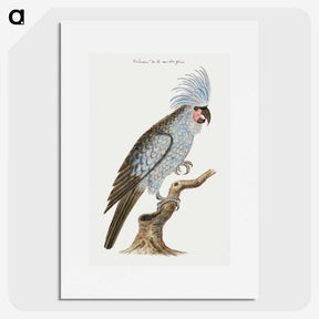 1-22_Robert-Jacob-Gordon_picture
