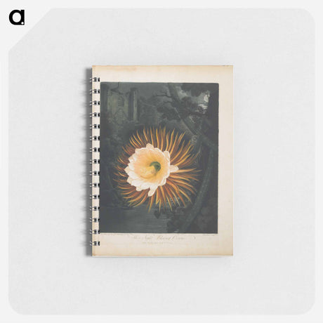 アートメモ帳-The Night-Blowing Cereus
 - ロバート ジョン ソーントン Memo.