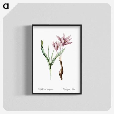 1-22_The-Lilies_blk-crop