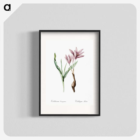 1-22_The-Lilies_blk