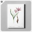 1-22_The-Lilies_canvas