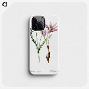 1-22_The-Lilies_phone