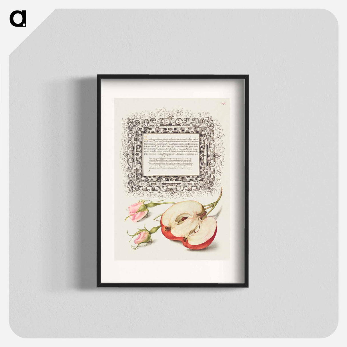 アートポスター-French Rose and Apple from Mira Calligraphiae Monumenta
 - 書道のお手本 Poster.