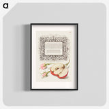 アートポスター-French Rose and Apple from Mira Calligraphiae Monumenta
 - 書道のお手本 Poster.