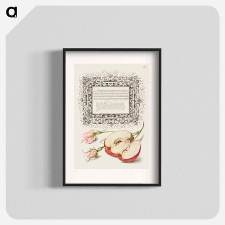 アートポスター-French Rose and Apple from Mira Calligraphiae Monumenta
 - 書道のお手本 Poster.