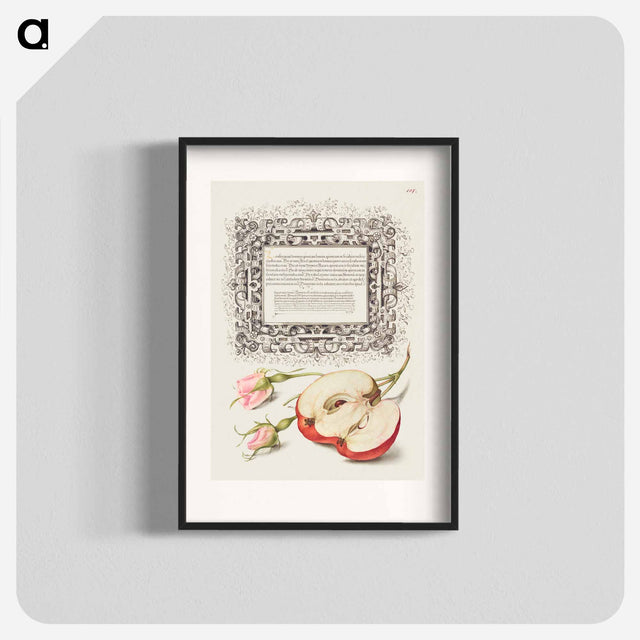 アートポスター-French Rose and Apple from Mira Calligraphiae Monumenta
 - 書道のお手本 Poster.