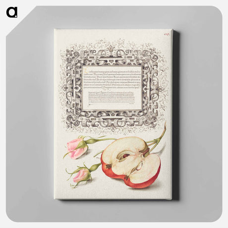アートパネル-French Rose and Apple from Mira Calligraphiae Monumenta
 - 書道のお手本 Canvas.