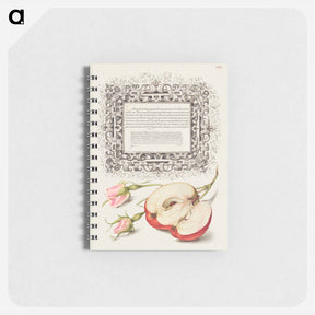 アートメモ帳-French Rose and Apple from Mira Calligraphiae Monumenta
 - 書道のお手本 Memo.