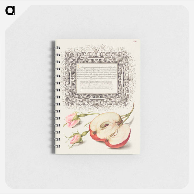 アートメモ帳-French Rose and Apple from Mira Calligraphiae Monumenta
 - 書道のお手本 Memo.
