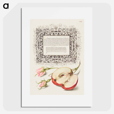 アートポスター-French Rose and Apple from Mira Calligraphiae Monumenta
 - 書道のお手本 Poster.