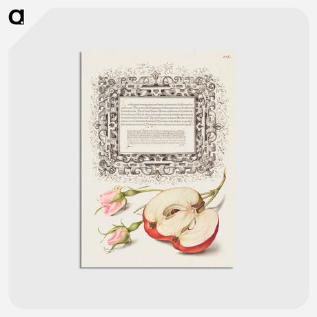 アートポストカード-French Rose and Apple from Mira Calligraphiae Monumenta
 - 書道のお手本 Postcard.