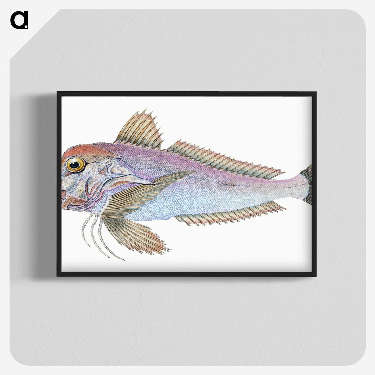 1-22_The-Natural-History-of-British-Fishes_blk-crop